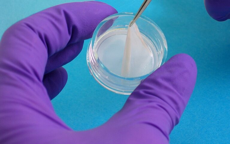 The Synthesis, Characterization and Biocompatibility of Poly(ester urethane) Polyhedral Oligomeric Silesquioxane Nanocomposites