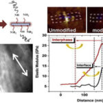 The effects of the interface on microstructure and rheo-mechanical properties of polyamide 6/cellulose nanocrystal nanocomposites prepared by in-situ ring-opening polymerization and subsequent melt extrusion.