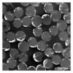 New Phosphate Glass/Polymer Hybrids-Current Status and Future Prospects.