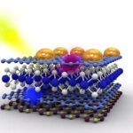A comparative study on the mechanical and barrier characteristics of polyimide nanocomposite films filled with nanoparticles of planar and tubular morphology.