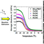 The structure and biocompatibility of bioabsorbable nanocomposites of aliphatic-aromatic co-polyester and cellulose nanocrystals.