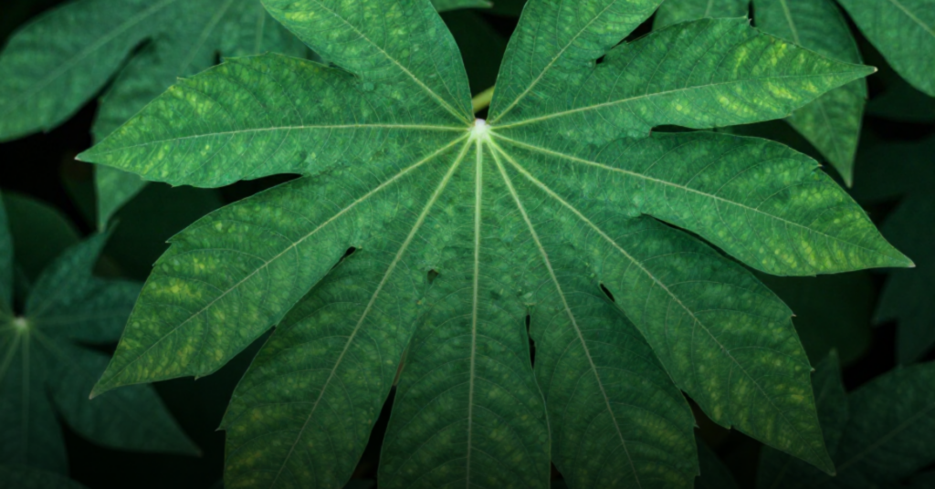 The buildings we live and work in are often silent contributors to climate change. Traditional construction materials like concrete and steel release large amounts of carbon dioxide (CO₂) during production. In fact, the construction sector is responsible for nearly 40% of global CO₂ emissions (Architecture 2030, 2024).
But what if our buildings could help reverse that impact?
Today, a new wave of materials is reshaping the industry—carbon-storing building materials that absorb and lock away CO₂ instead of releasing it. These innovative substances transform homes, offices, and public buildings into active participants in the fight against climate change.